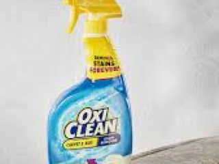 Best Pet Stain Remover Miami