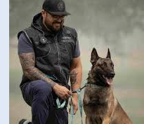 dog-training-arizona-big-0